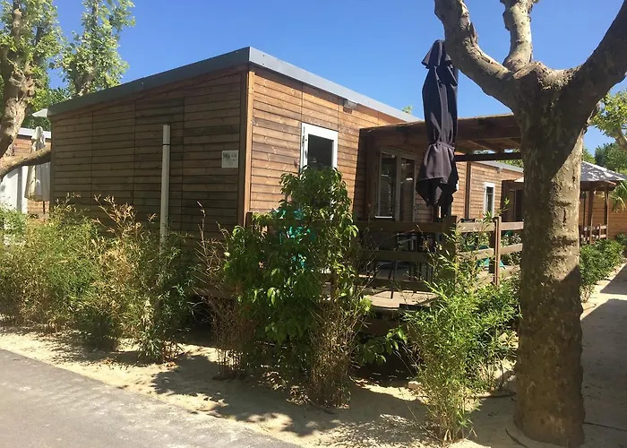 Rent Paradise Grimaud